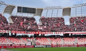 Calciostyle