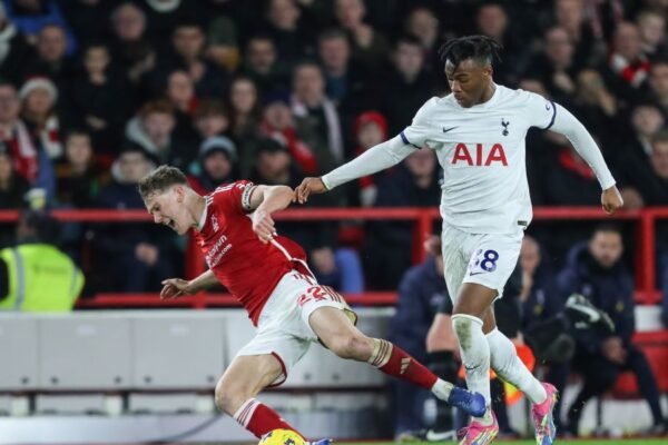 Tottenham retrocesso? Quante possibili occasioni di mercato!